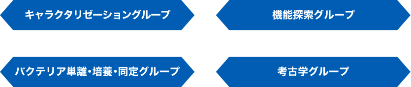 �L�����N�^���[�[�V�����O���[�v/�@�\�T���O���[�v/�o�N�e���A�P���E�|�{�E����O���[�v/�l�Êw�O���[�v